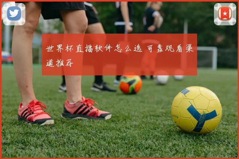 世界杯直播软件怎么选 可靠观看渠道推荐