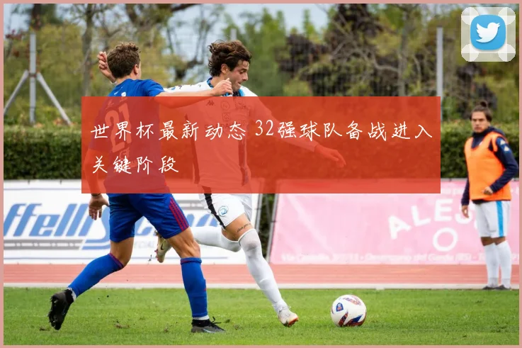 世界杯最新动态 32强球队备战进入关键阶段