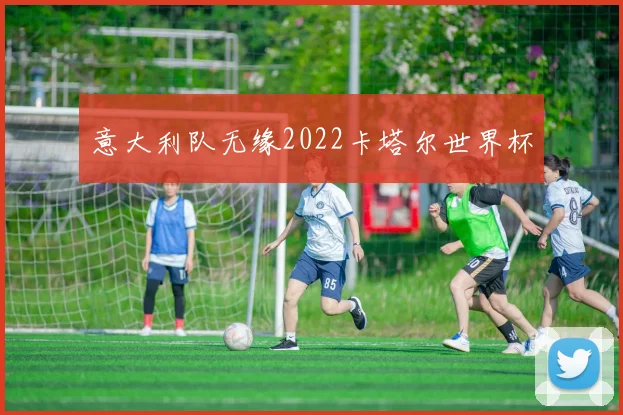 意大利队无缘2022卡塔尔世界杯