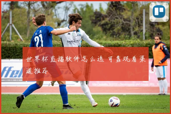 世界杯直播软件怎么选 可靠观看渠道推荐