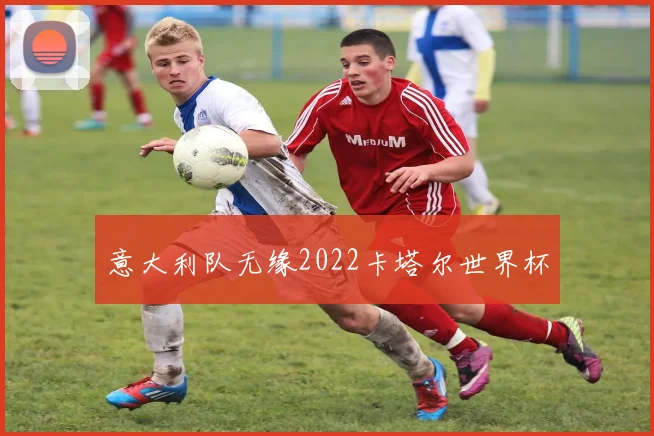 意大利队无缘2022卡塔尔世界杯
