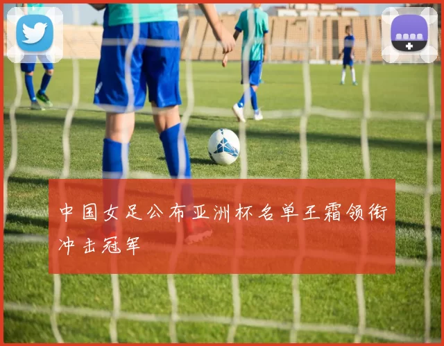 中国女足公布亚洲杯名单王霜领衔冲击冠军